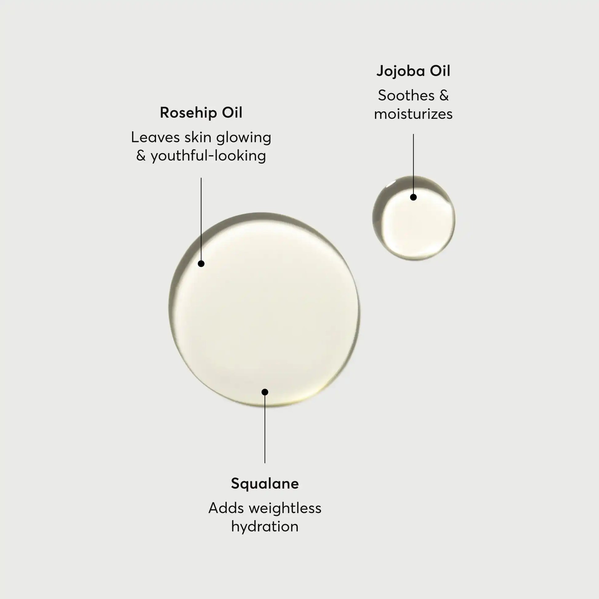 the-glow-getter-body-oil-b9 NATR-10115-Alt-Images-The-Glow-Getter-Body-Oil-01.webp