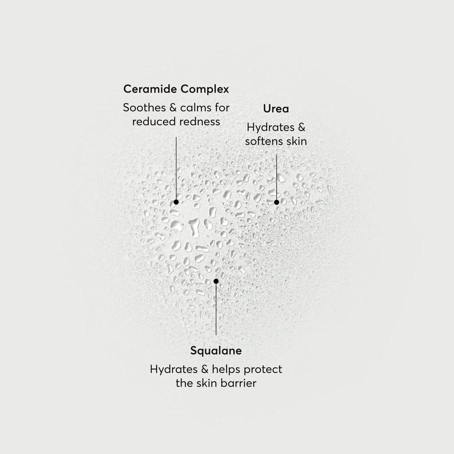 barrier-bounce-bi-phase-mist-c8 NATR-10167-Alt-Images-Barrier-Bounce-Bi-Phase-Toner-Mist_01.webp