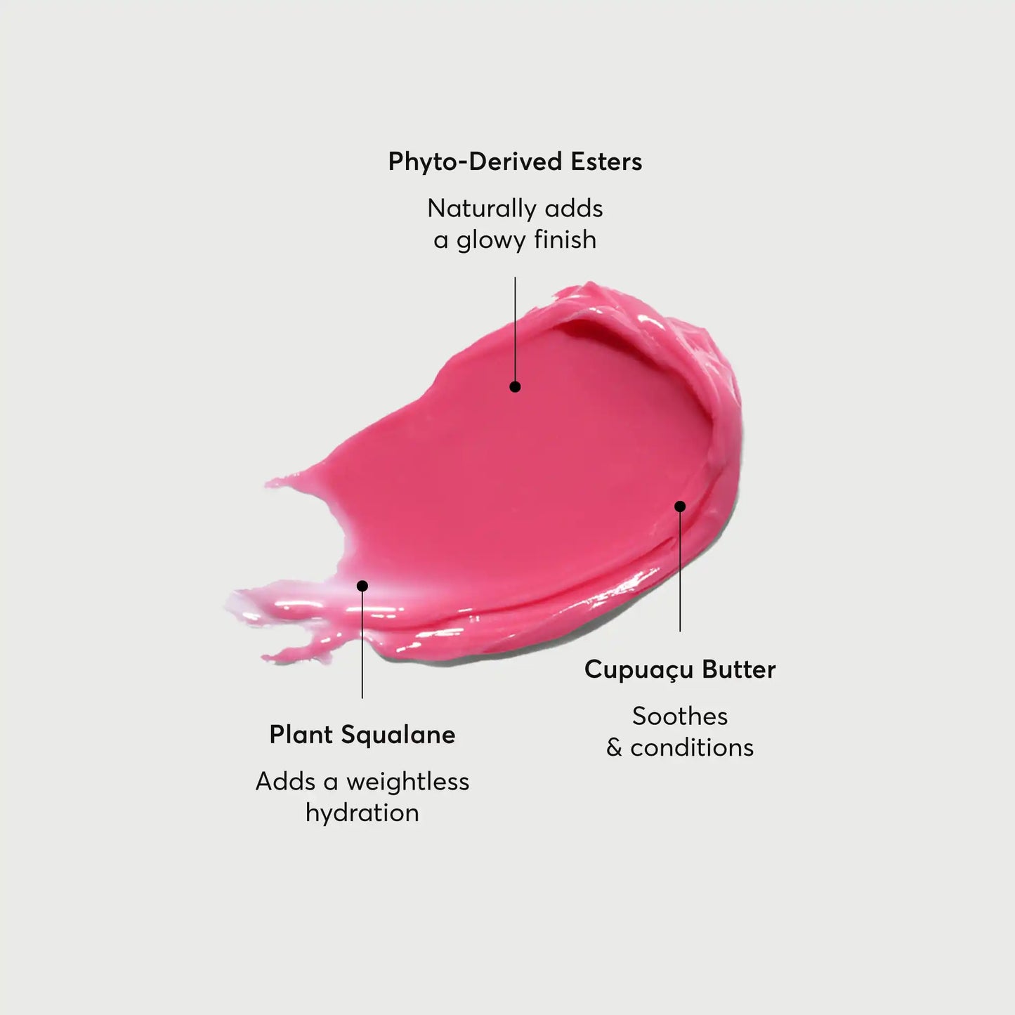 phyto-glow-lip-balm-camellia-m7 NATR-60075-Alt-Images-Phyto-Glow-Lip-Balm-Camellia-01.webp